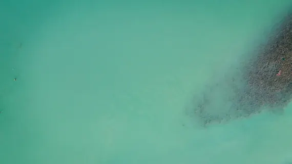 كازينو لاكي لوك الدعم